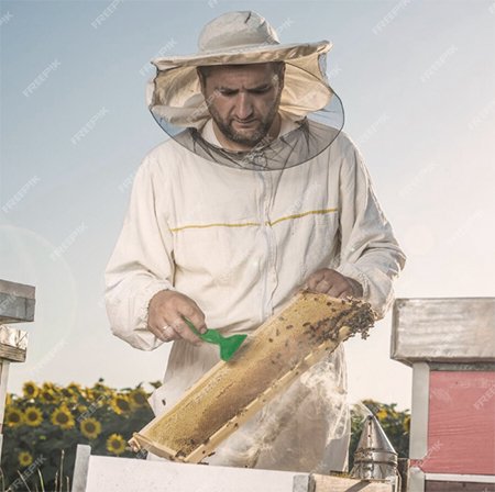 bee-image